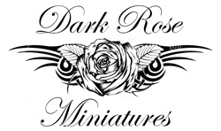 BLACK PRIMER - Dark Rose Miniatures
