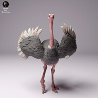 Ostrich Male 75mm (1/24 scale)