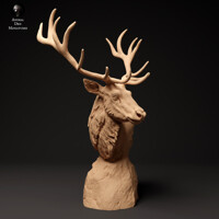 Red Deer Bust 1/16 scale