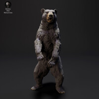 Black Bear 75mm (1/24 scale)