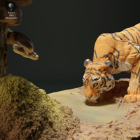Burmese Python and Bengal Tiger 75 mm (1/24 scale)